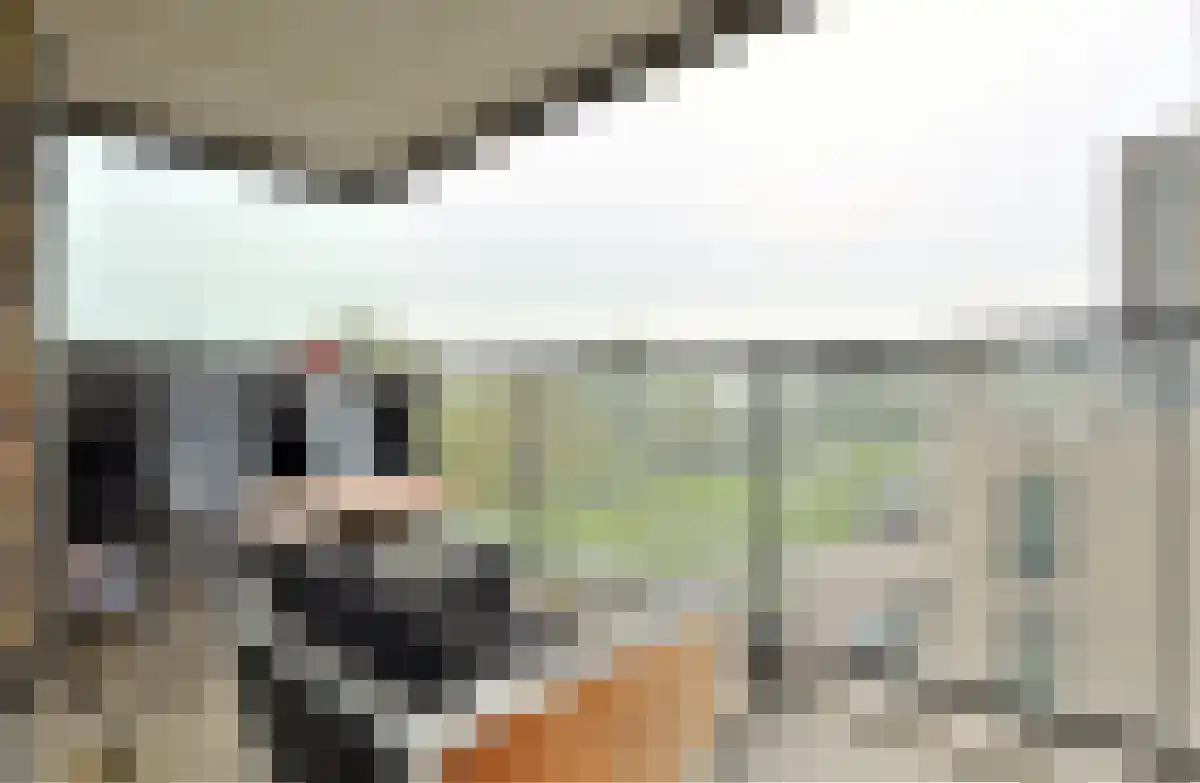IJdoornlaan 1451 Amsterdam thumbnail 4