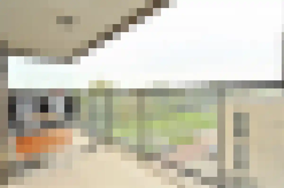 IJdoornlaan 1451 Amsterdam thumbnail 5