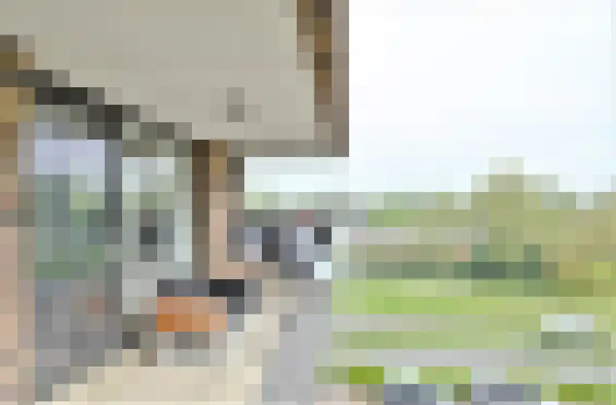 IJdoornlaan 1451 Amsterdam thumbnail 6