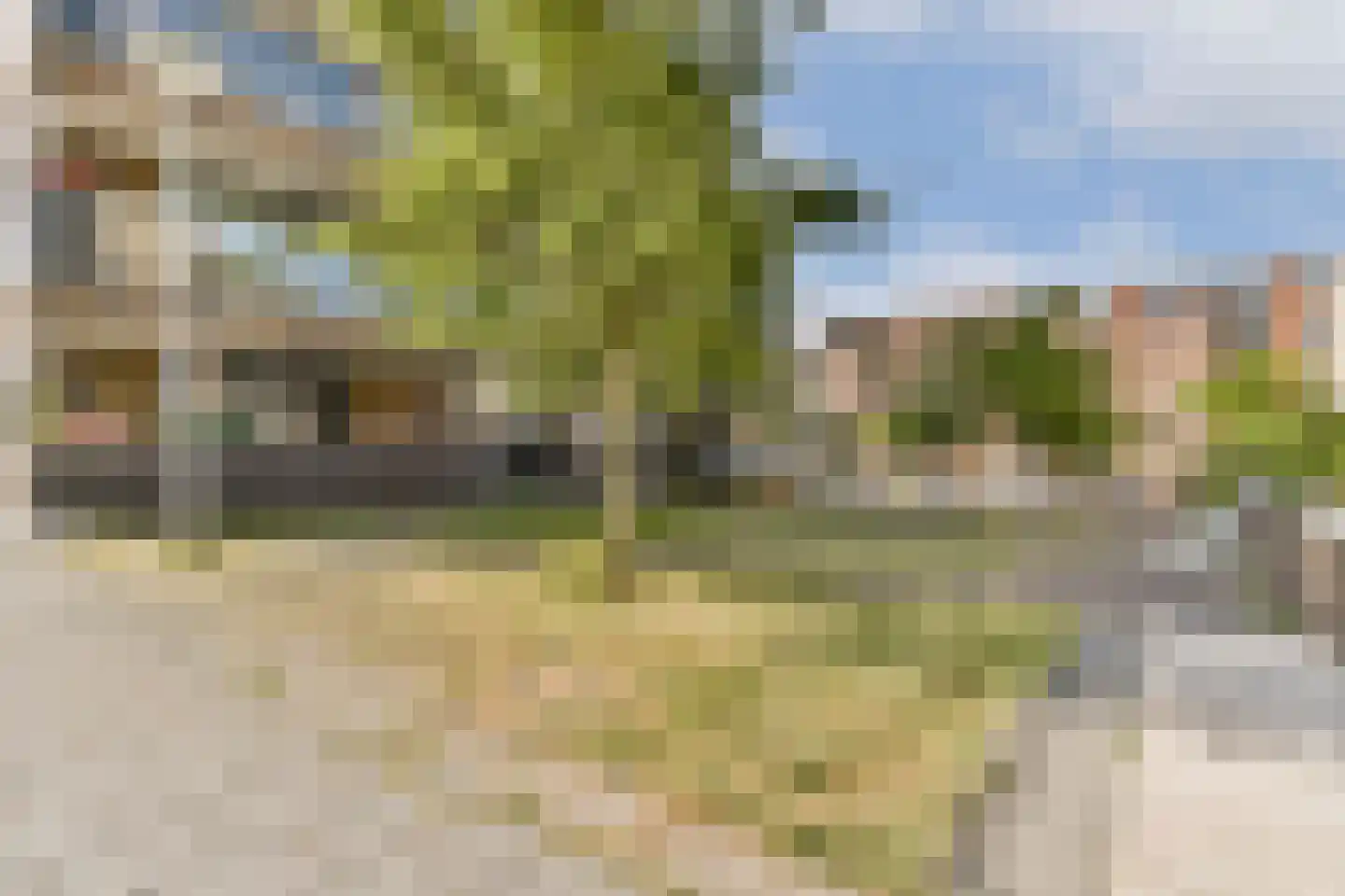 IJdoornlaan 1459 H Amsterdam thumbnail 32