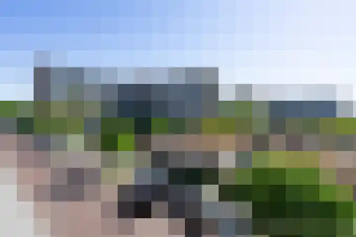 IJdoornlaan 1461 D Amsterdam thumbnail 12