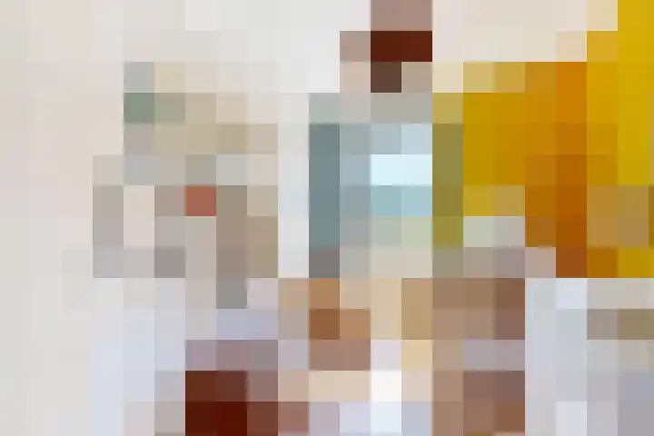 IJdoornlaan 1461 D Amsterdam thumbnail 23
