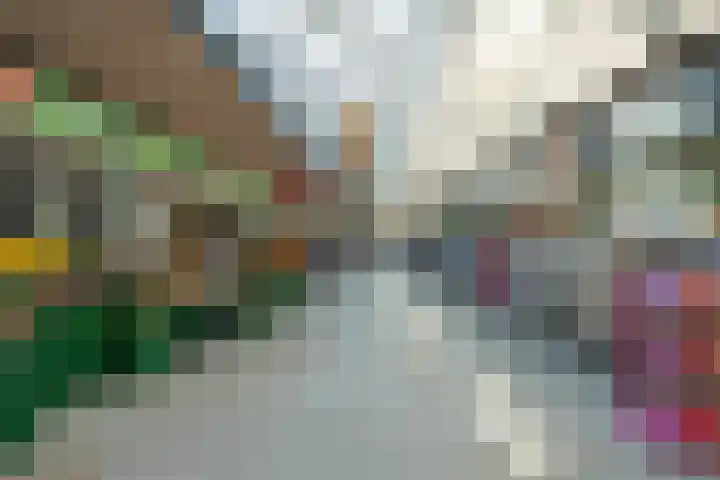 IJdoornlaan 1461 D Amsterdam thumbnail 32