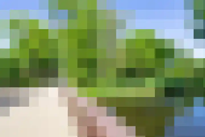 IJdoornlaan 1461 D Amsterdam thumbnail 33