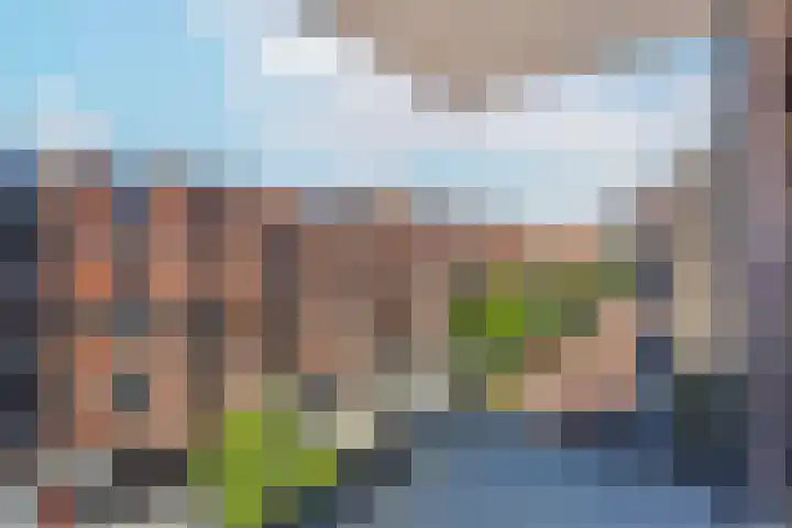 IJdoornlaan 1463 E Amsterdam thumbnail 11