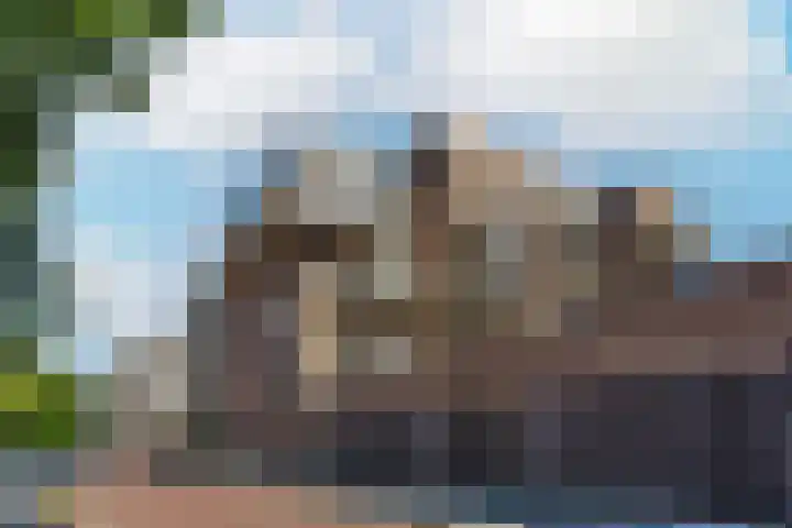 IJdoornlaan 1463 E Amsterdam thumbnail 29