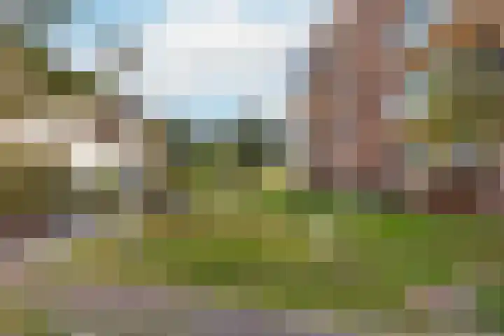 IJdoornlaan 1463 E Amsterdam thumbnail 32
