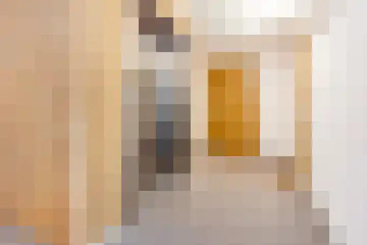 IJdoornlaan 1463 E Amsterdam thumbnail 6