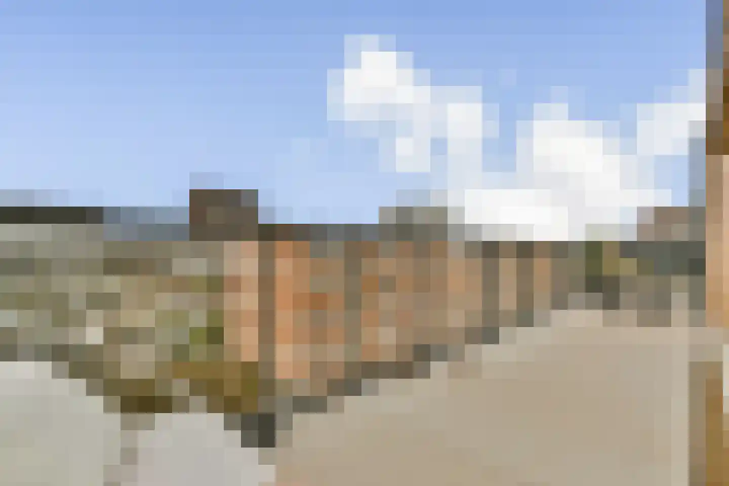 IJdoornlaan 1465 D Amsterdam thumbnail 12
