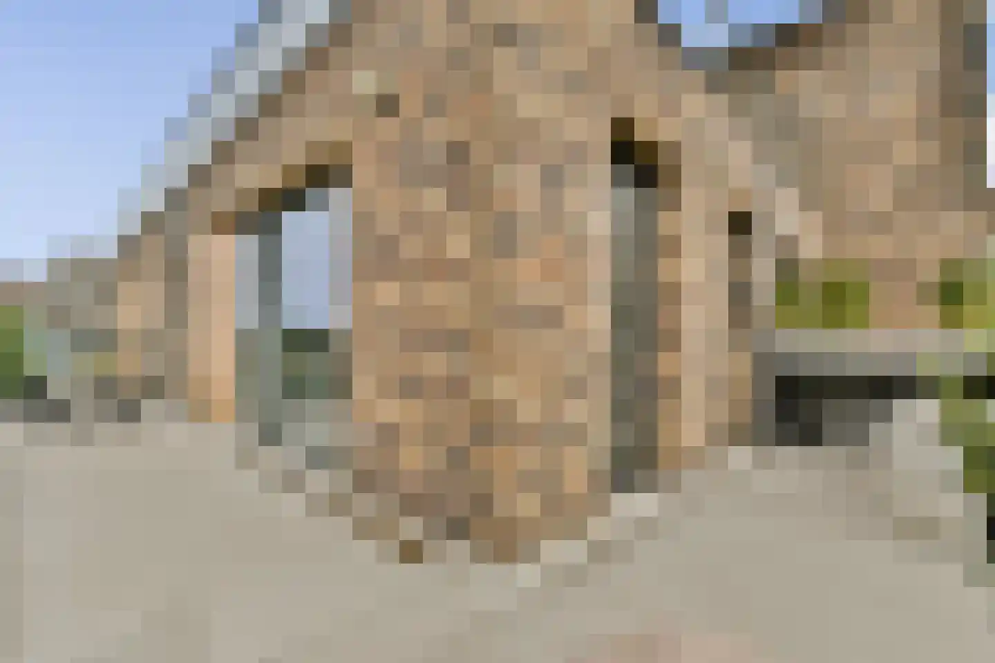 IJdoornlaan 1465 D Amsterdam thumbnail 14