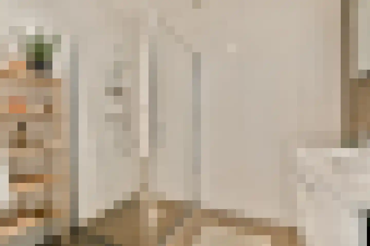 IJdoornlaan 1465 D Amsterdam thumbnail 17