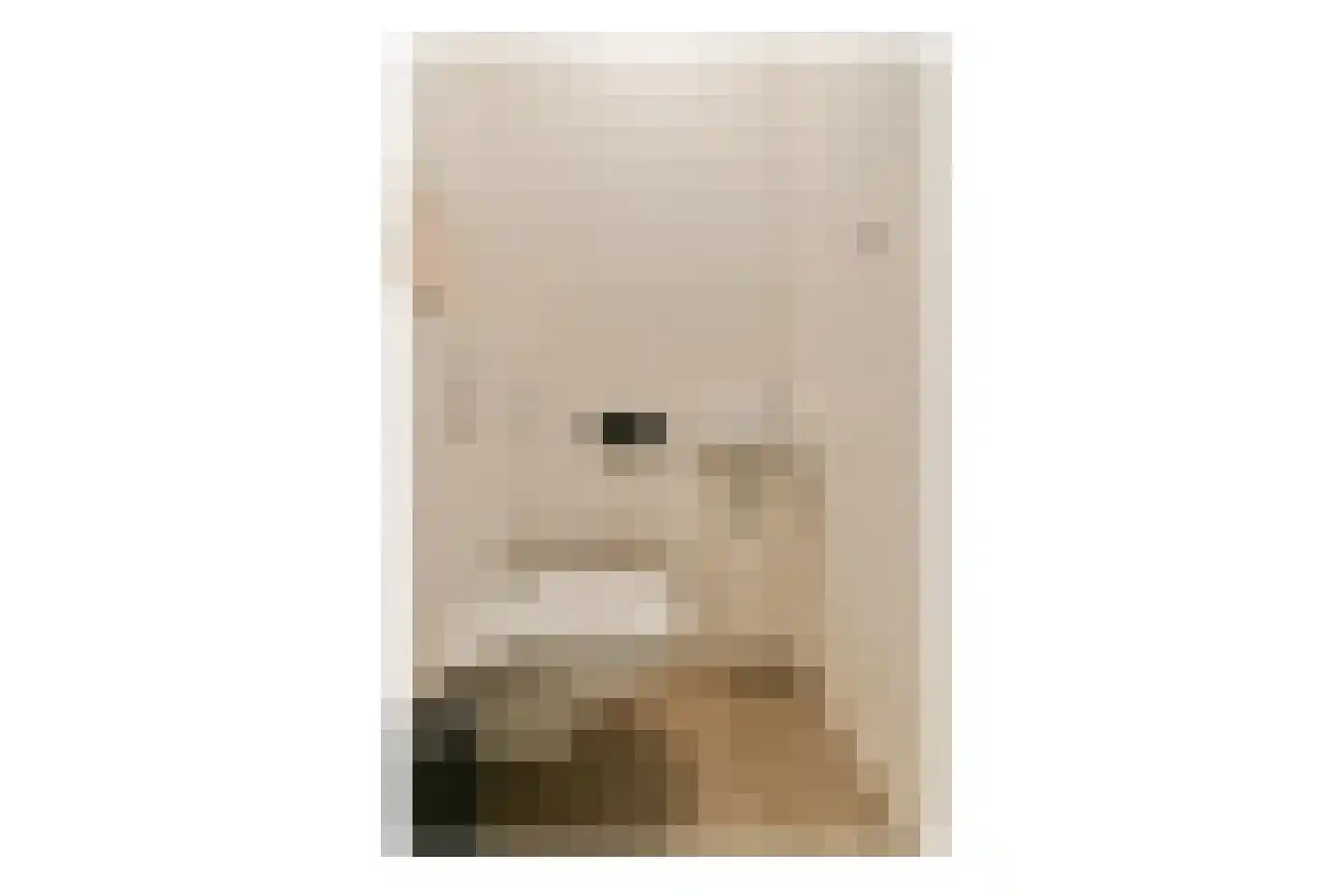 IJdoornlaan 1465 D Amsterdam thumbnail 19