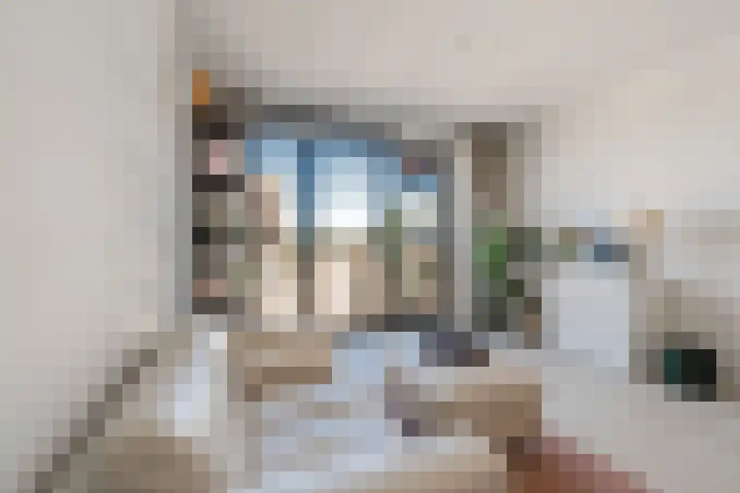 IJdoornlaan 1465 H Amsterdam thumbnail 11