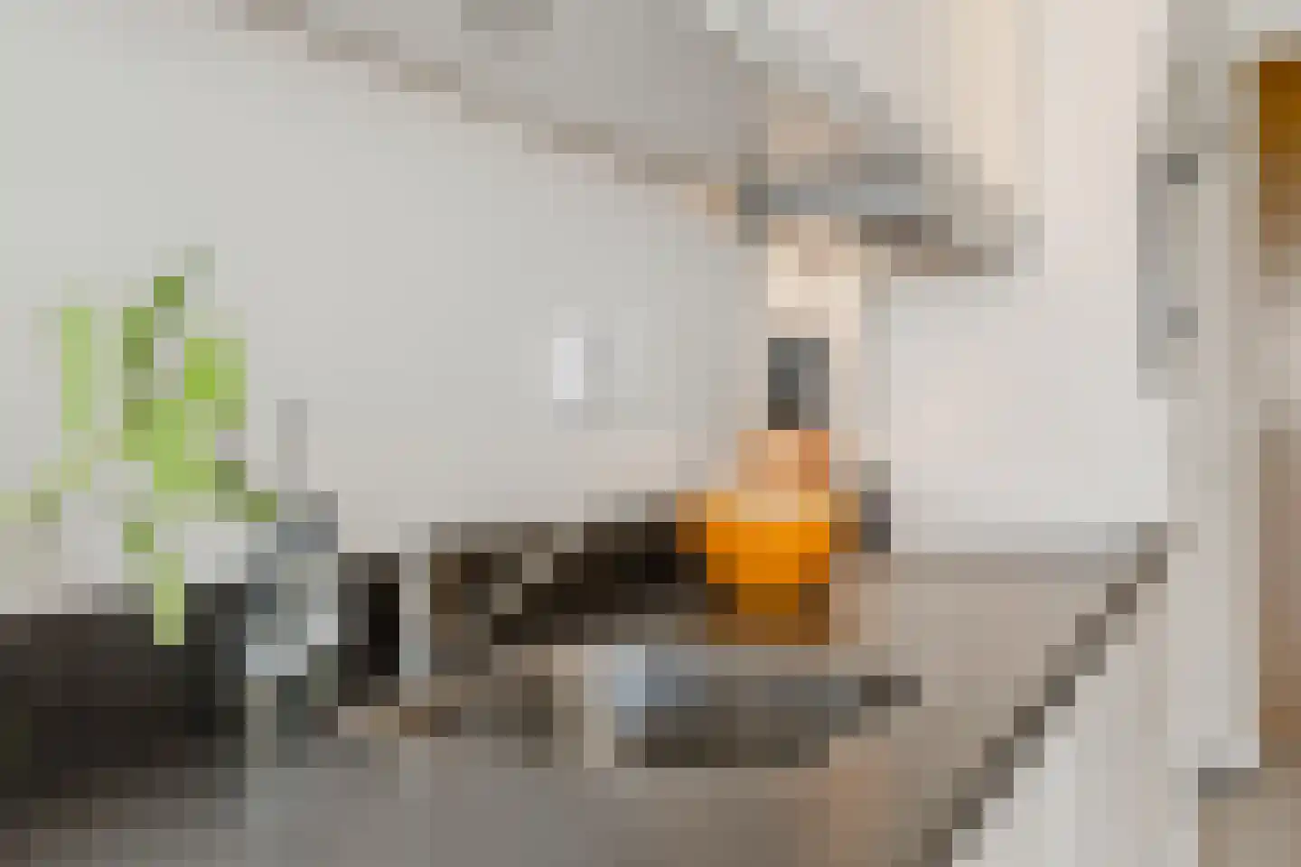 IJdoornlaan 1465 H Amsterdam thumbnail 16
