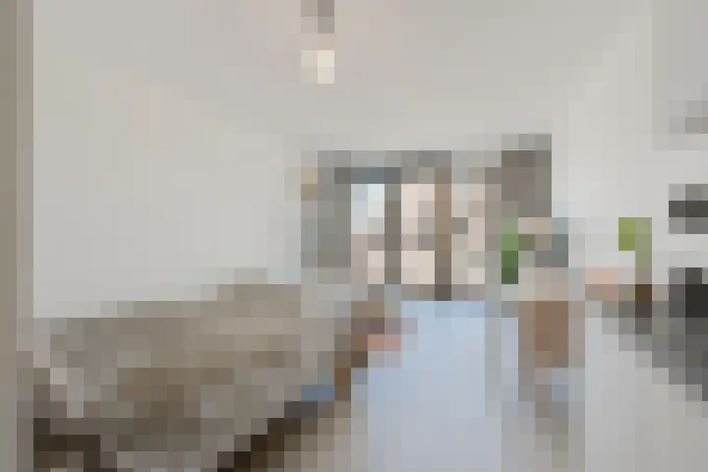 IJdoornlaan 1465 H Amsterdam thumbnail 8