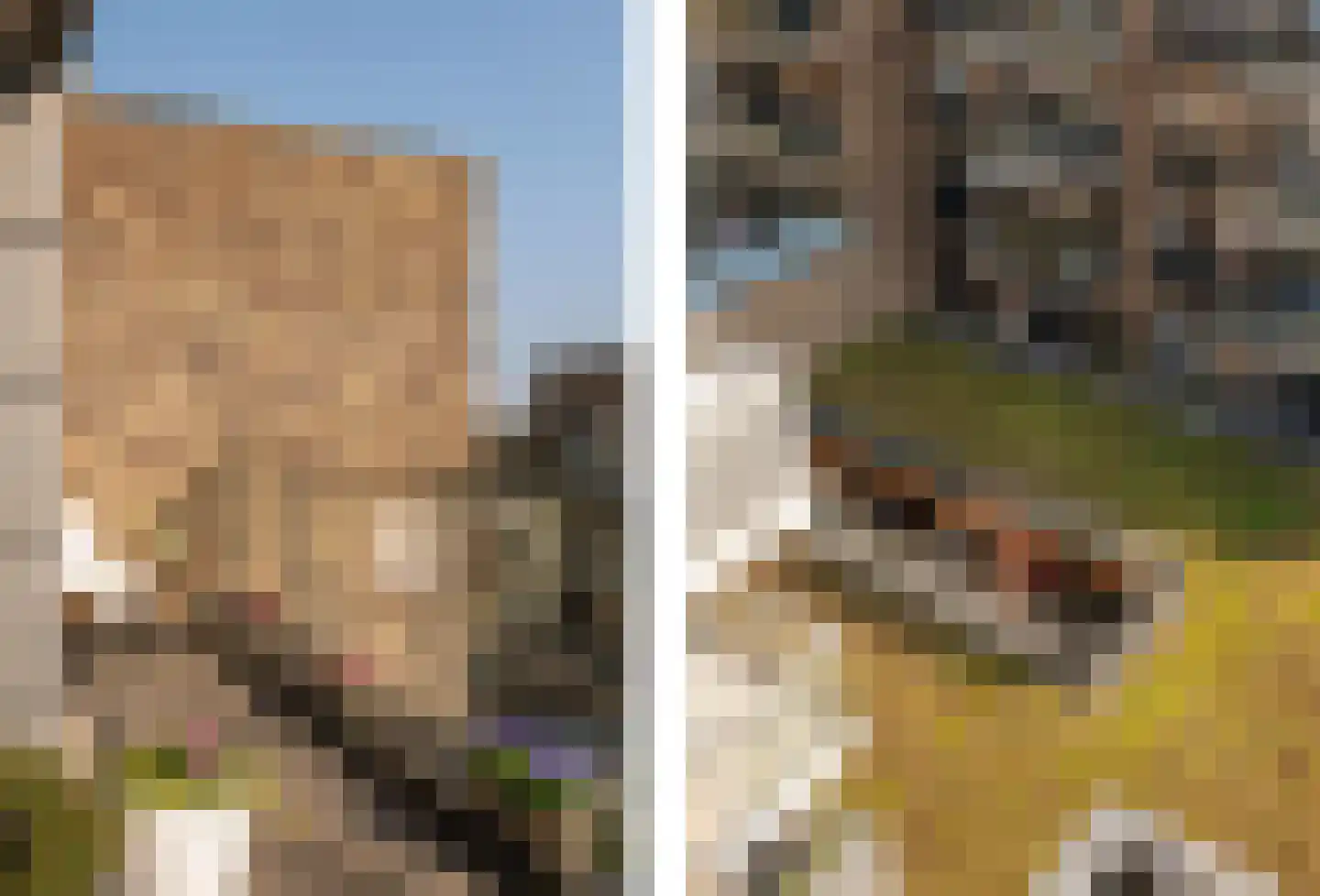IJdoornlaan 1467 C Amsterdam thumbnail 12