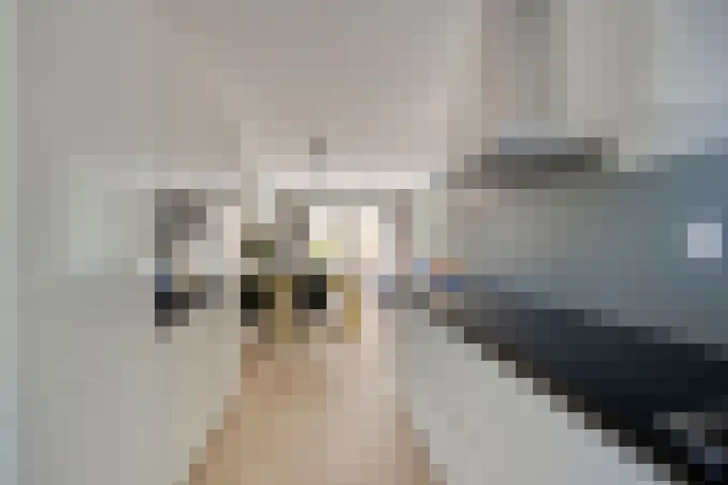 IJdoornlaan 1479 Amsterdam thumbnail 17