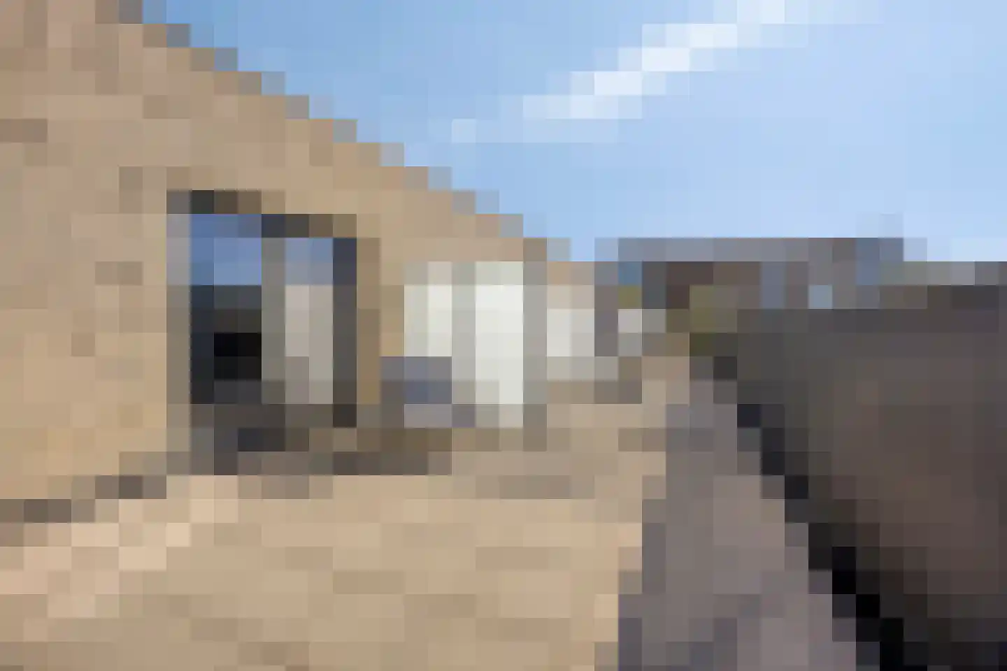 IJdoornlaan 1479 Amsterdam thumbnail 34