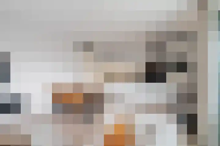IJdoornlaan 1485 G Amsterdam thumbnail 12