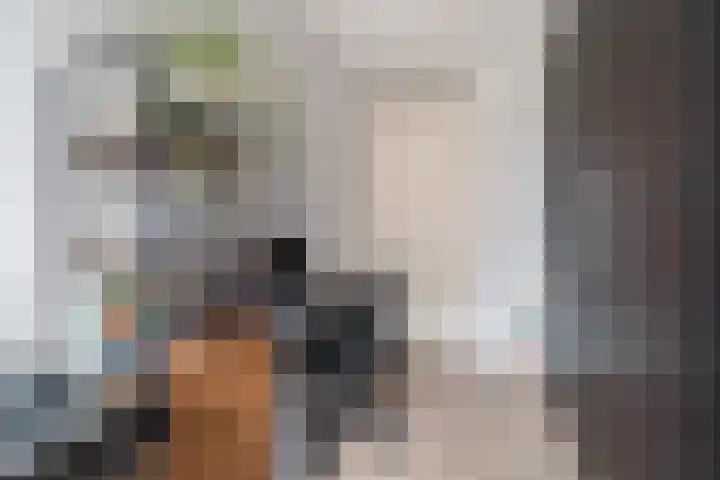 IJdoornlaan 1485 G Amsterdam thumbnail 19