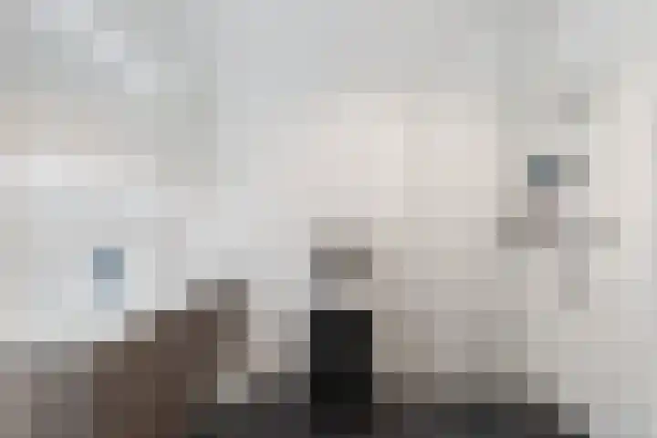IJdoornlaan 1485 G Amsterdam thumbnail 20