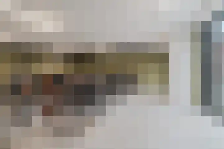 IJdoornlaan 1485 G Amsterdam thumbnail 30