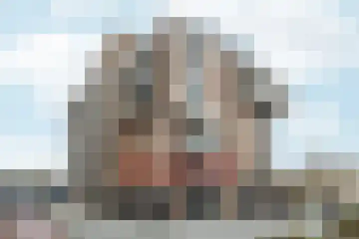 IJdoornlaan 1485 G Amsterdam thumbnail 34