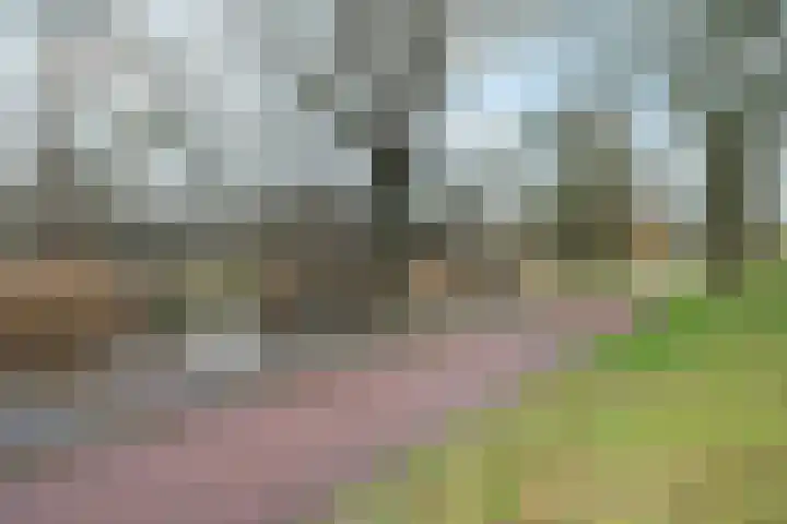 IJdoornlaan 1485 G Amsterdam thumbnail 36