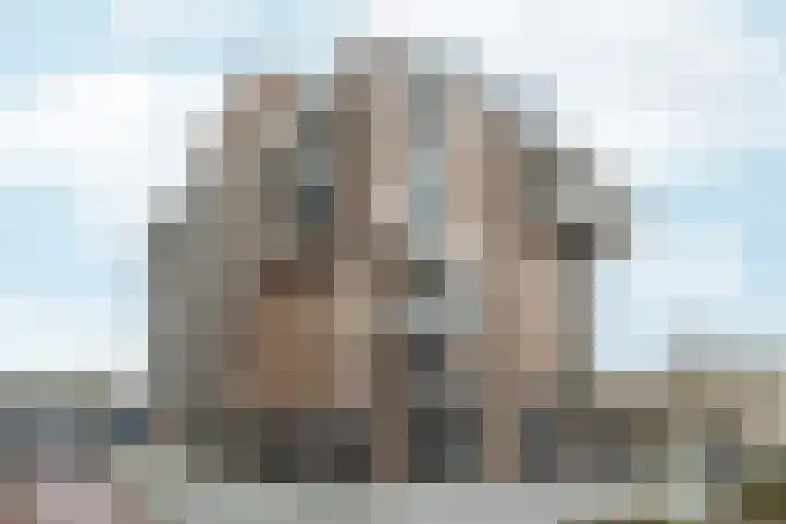IJdoornlaan 1485 G Amsterdam thumbnail 4