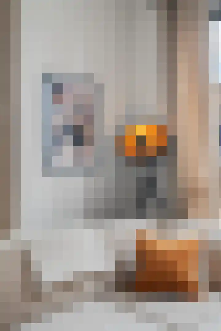 IJdoornlaan 1485 G Amsterdam thumbnail 8