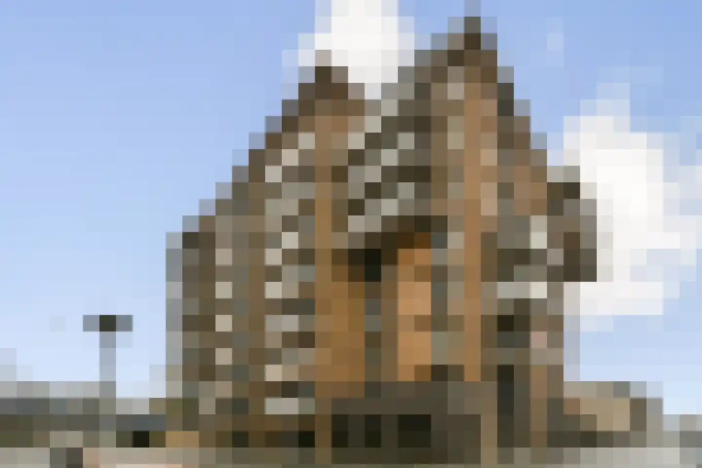 IJdoornlaan 1489 H Amsterdam foto 2