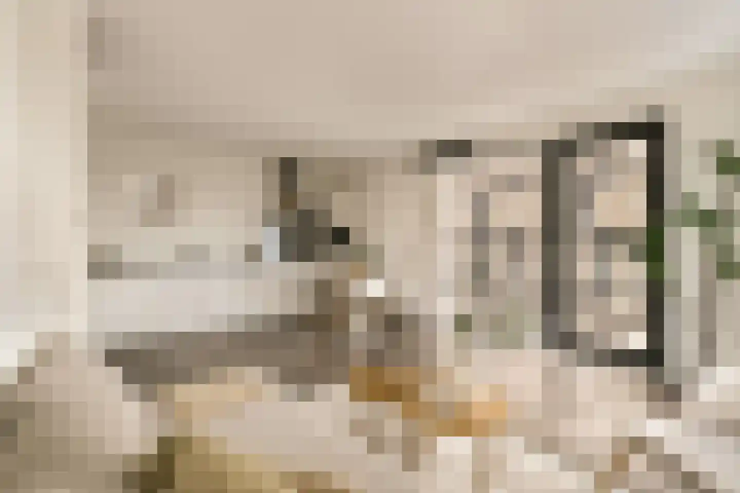 IJdoornlaan 1489 H Amsterdam thumbnail 6