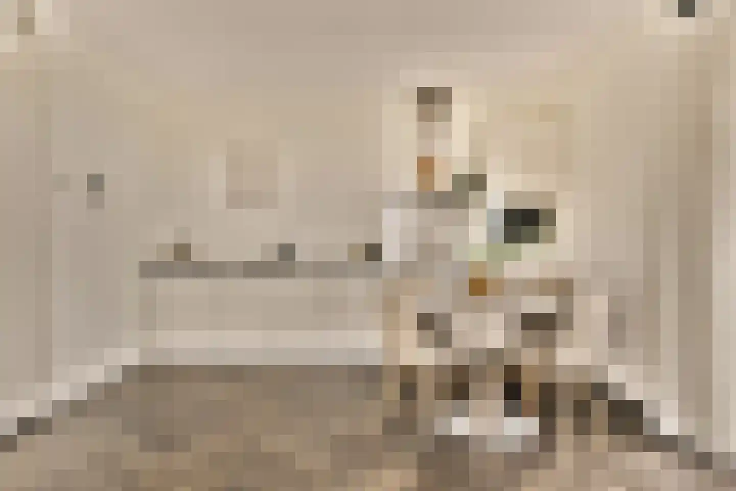 IJdoornlaan 1489 H Amsterdam thumbnail 8