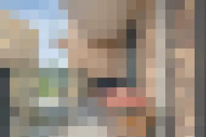 IJdoornlaan 1491 E Amsterdam thumbnail 11