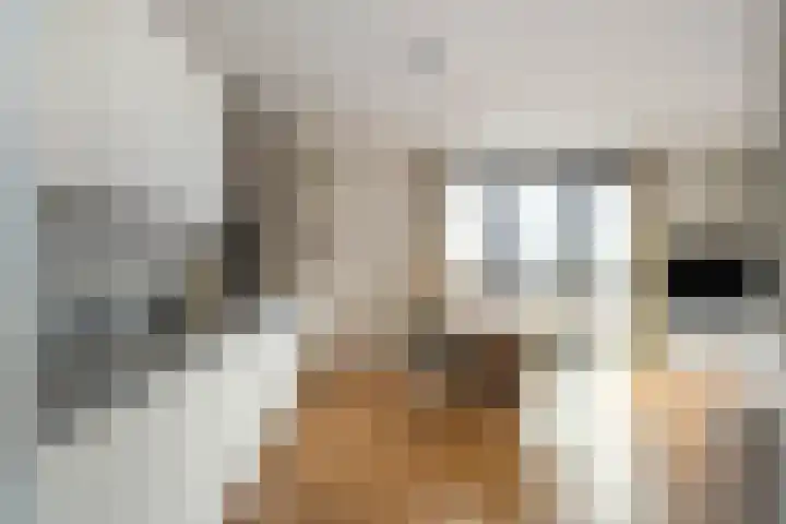 IJdoornlaan 1491 E Amsterdam thumbnail 15