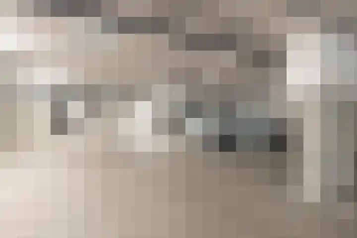 IJdoornlaan 1491 E Amsterdam thumbnail 28