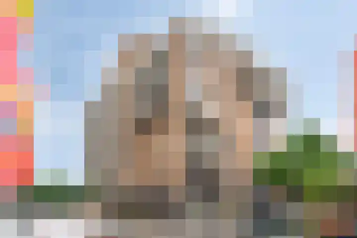 IJdoornlaan 1491 E Amsterdam thumbnail 5