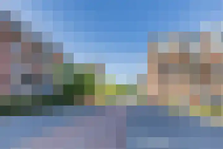 IJdoornlaan 1491 G Amsterdam thumbnail 33