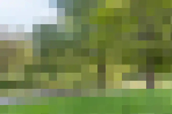 IJdoornlaan 1491 G Amsterdam thumbnail 37