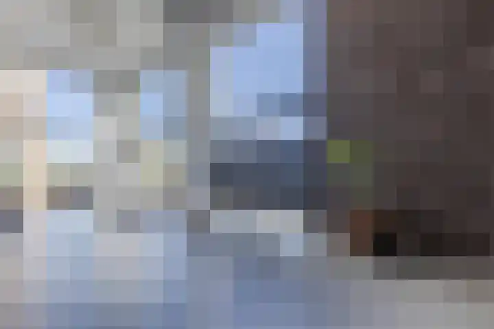 IJdoornlaan 1491 G Amsterdam thumbnail 6