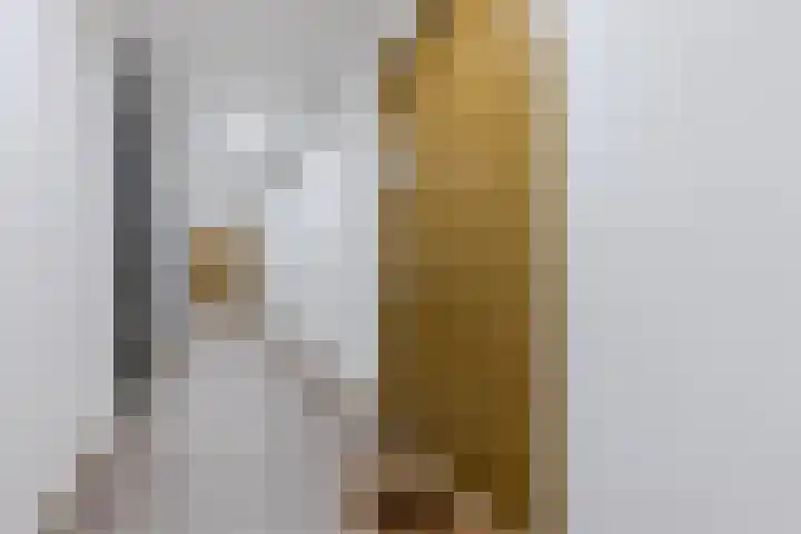 IJdoornlaan 1491 G Amsterdam thumbnail 8