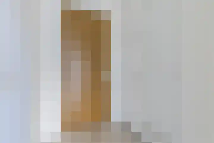 IJdoornlaan 1491 G Amsterdam thumbnail 9