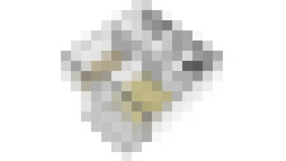 IJdoornlaan 1493 G Amsterdam thumbnail 26
