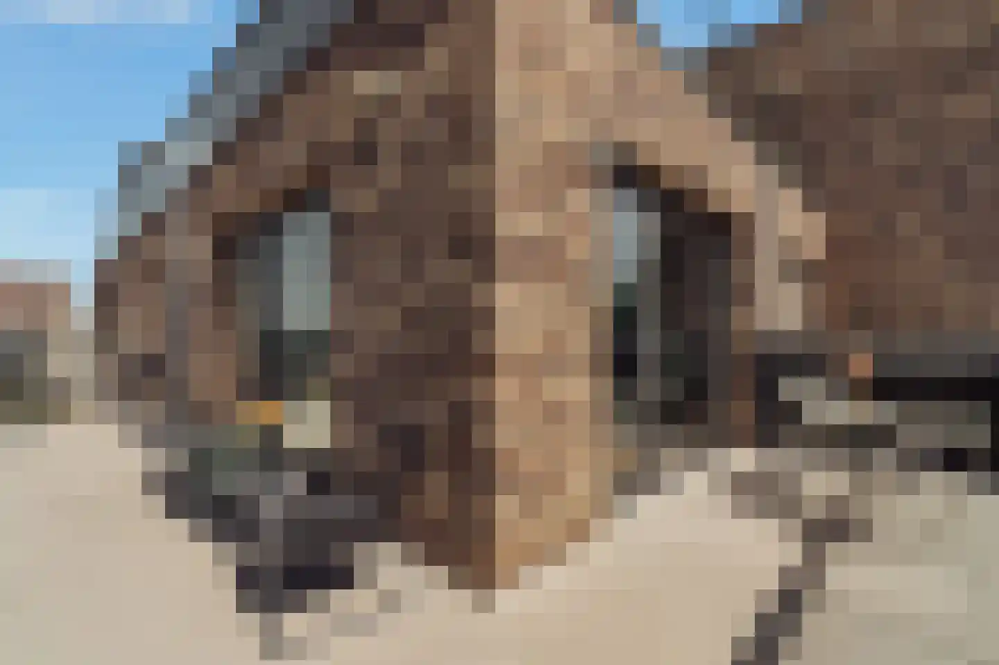 IJdoornlaan 1495 D Amsterdam thumbnail 16