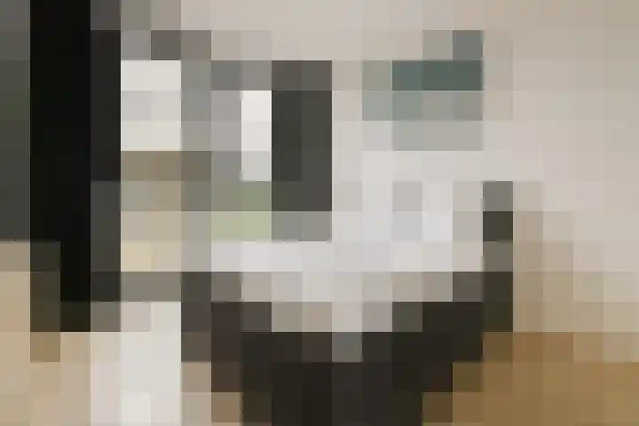 IJdoornlaan 1497 E Amsterdam thumbnail 13