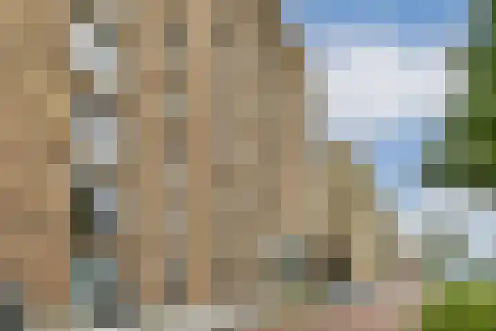 IJdoornlaan 1497 E Amsterdam thumbnail 19