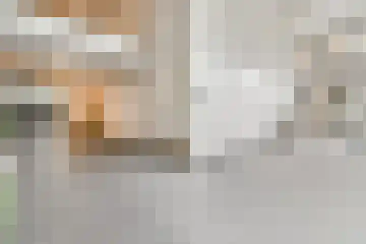 IJdoornlaan 1497 E Amsterdam thumbnail 21