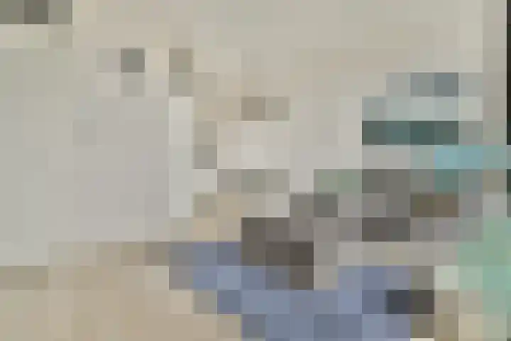 IJdoornlaan 1497 E Amsterdam thumbnail 4