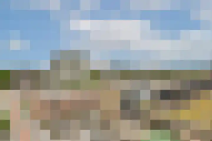IJdoornlaan 1497 E Amsterdam thumbnail 8