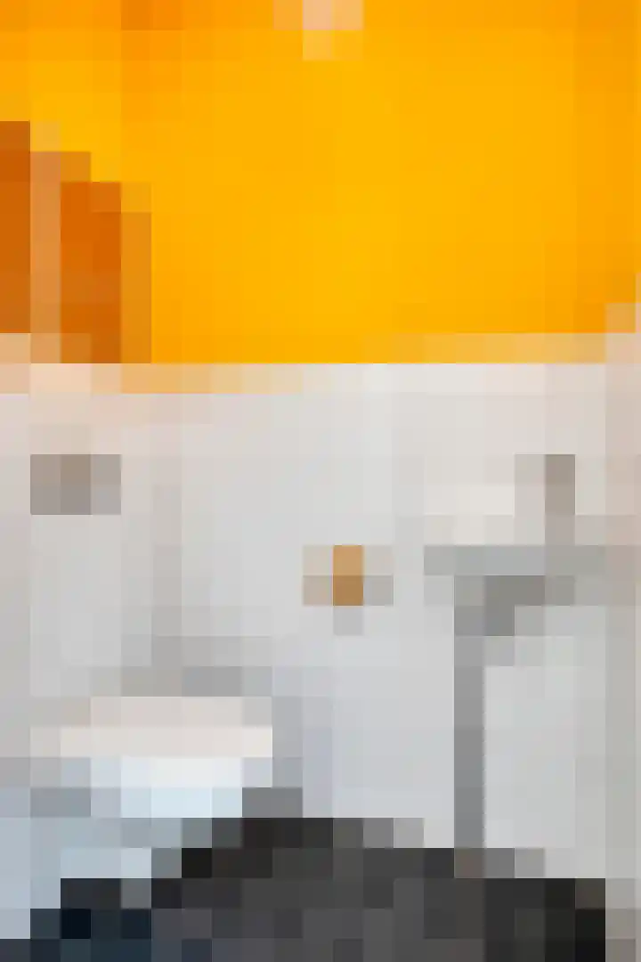 IJdoornlaan 261 P 4 Amsterdam thumbnail 28